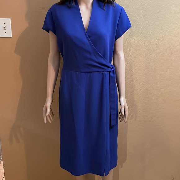 Blue Dress - Picture 3 of 16